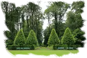 Empresa de tala y podas en altura Desbroces y jardinería