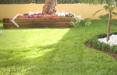 Tala y poda de árboles en altura Ávila Tala y poda de árboles en altura Ávila