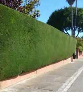 Taladores y podadores de árboles en altura Ávila